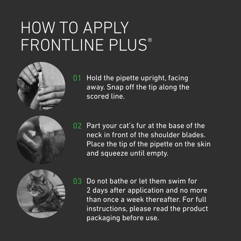 Frontline Plus Spot-On Flea, Tick & Lice Treatment for Cats – 6 Pipettes, Pack of 12 | Vet-Recommended Protection