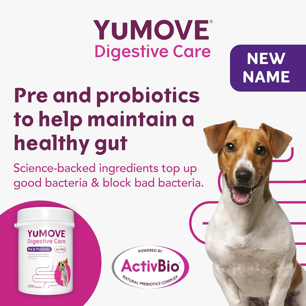 YuMOVE Digestive Care for Dogs – Pack of 12 | Probiotic Supplement for Gut Health & Digestion (Previously YuDIGEST)