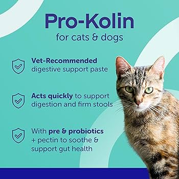 Protexin Pro-Kolin 60ml for Dogs & Cats | Probiotic Digestive Support for Pets