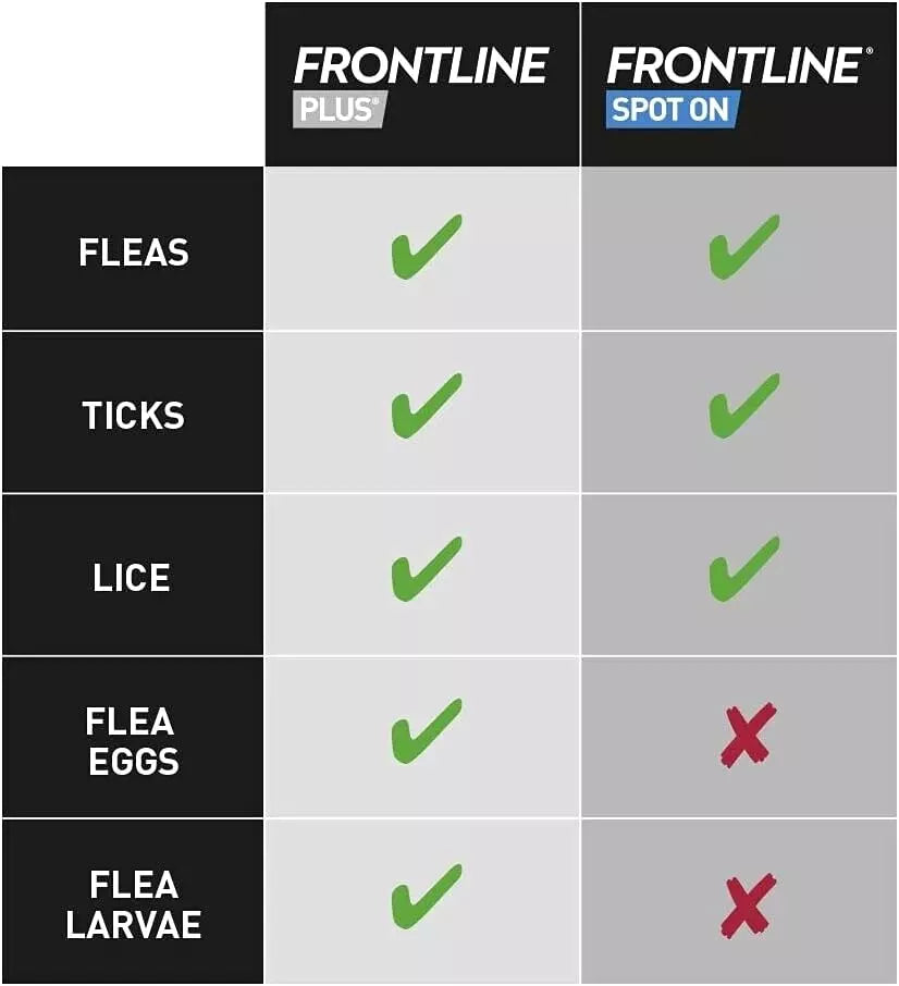 Frontline Plus Spot-On Flea & Tick Treatment for Cats & Ferrets β 6 Pipettes | Vet-Recommended Parasite Protection