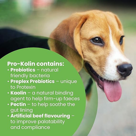 Protexin Pro-Kolin 60ml Probiotic Paste for Dogs & Cats | Digestive Support Syringe