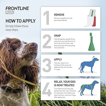 Frontline Plus Flea & Tick Treatment for Medium Dogs (10–20kg) – 6 Pipettes, Pack of 12 | Vet-Recommended Protection