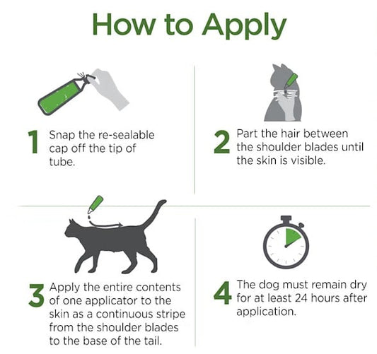 Frontline Spot-On Flea & Tick Treatment for Cats – 6 Pipettes | Vet-Recommended Parasite Protection