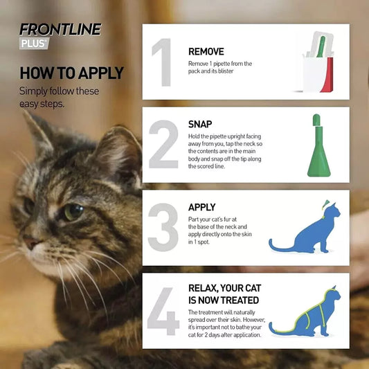 Frontline Plus Spot-On Flea & Tick Treatment for Cats & Ferrets – 6 Pipettes | Vet-Recommended Parasite Protection