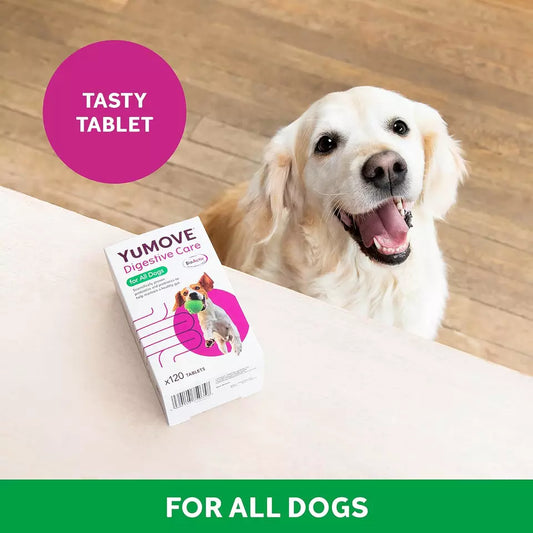 YuMOVE Digestive Care for Dogs – 120 Tablets | Probiotics for Digestive Health (Previously YuDIGEST)