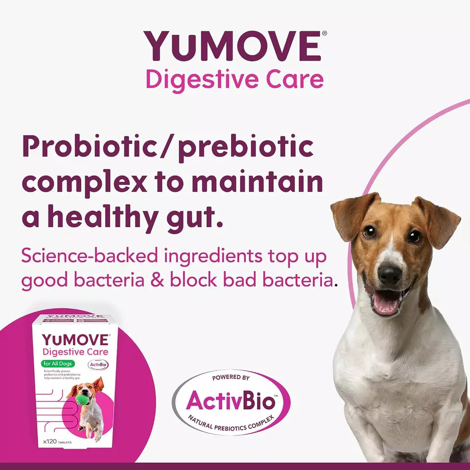 YuMOVE Digestive Care for Dogs – 120 Tablets | Probiotics for Digestive Health (Previously YuDIGEST)