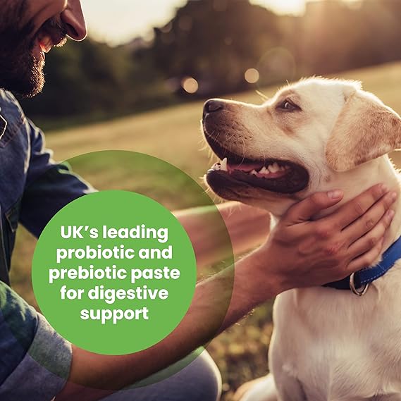 Protexin Pro-Kolin 60ml Probiotic Paste for Dogs & Cats | Digestive Support Syringe